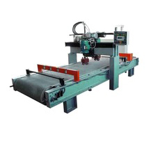 TJ-Q Full automatic Lychee Surface Processing Machine